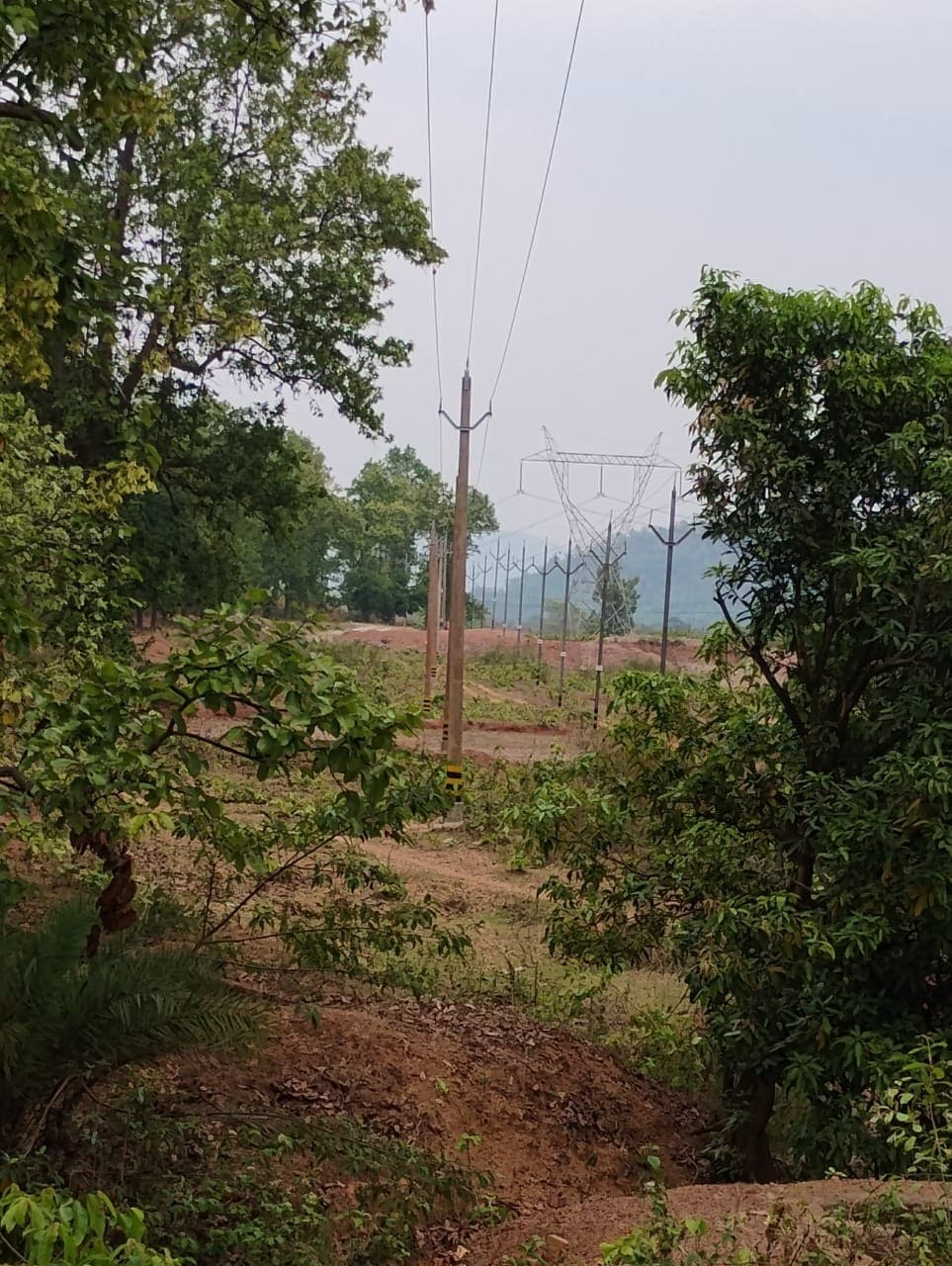 11 KV Feeder Line Construction